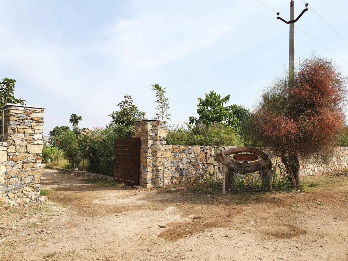 Bijapur Lodge Jawai 外观 照片