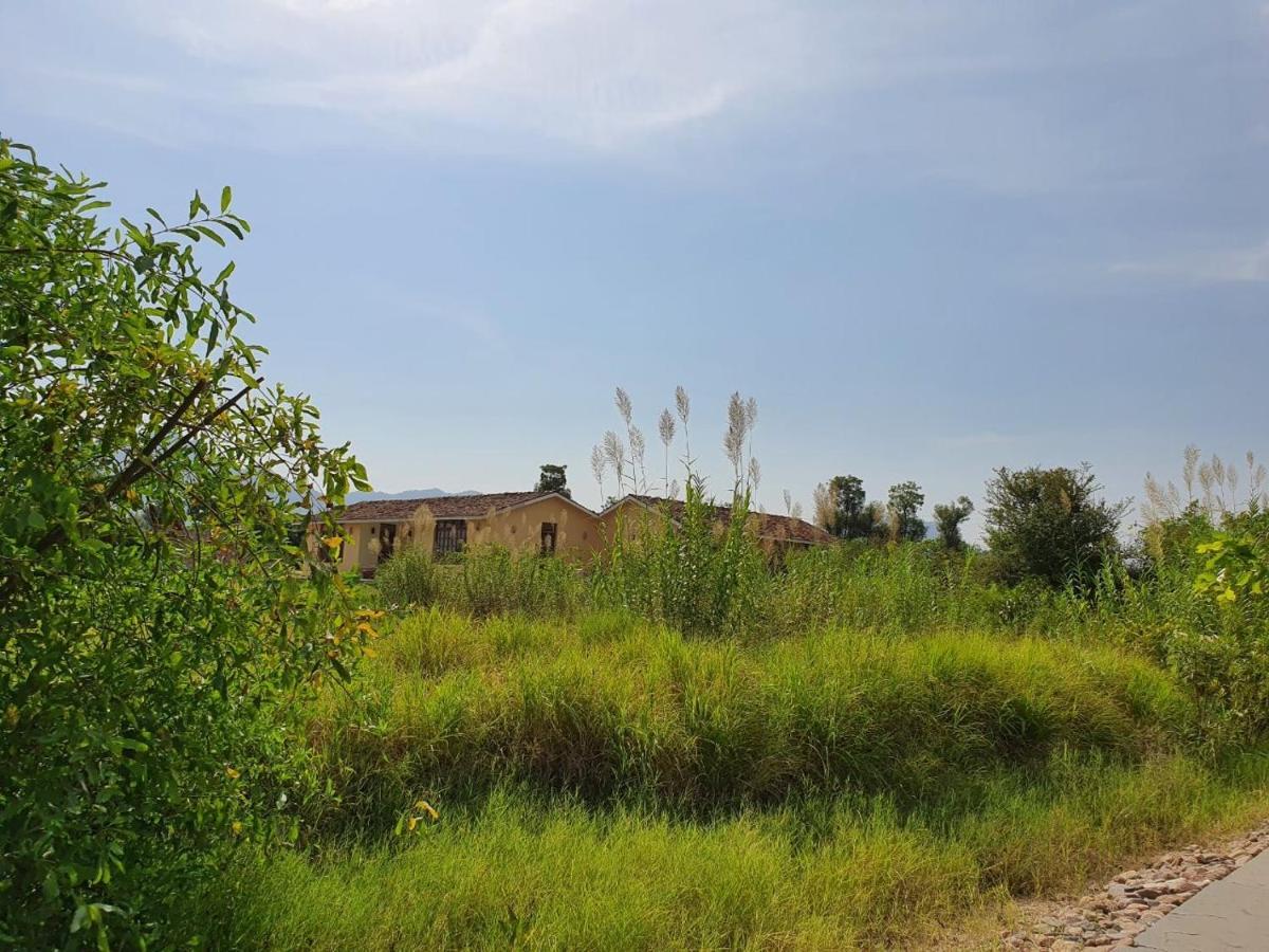 Bijapur Lodge Jawai 外观 照片