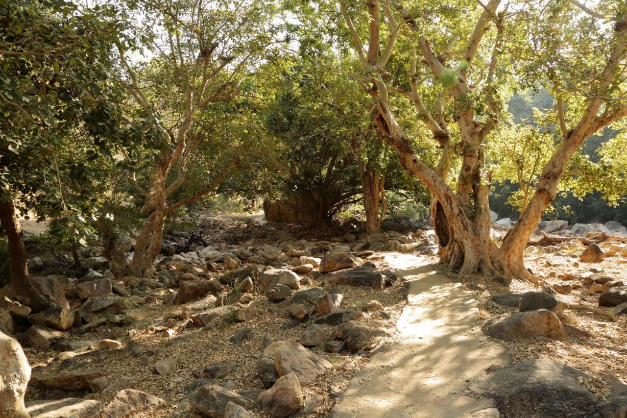 Bijapur Lodge Jawai 外观 照片
