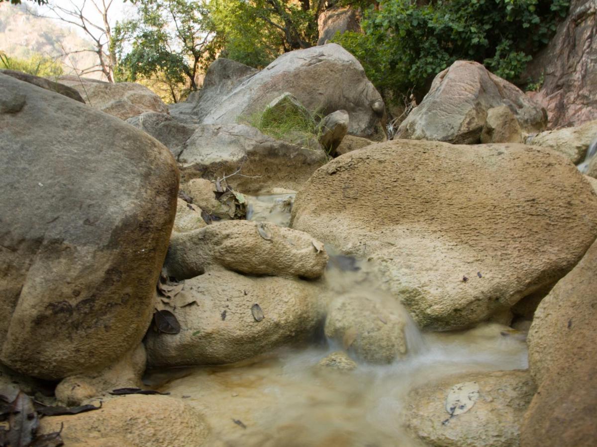 Bijapur Lodge Jawai 外观 照片