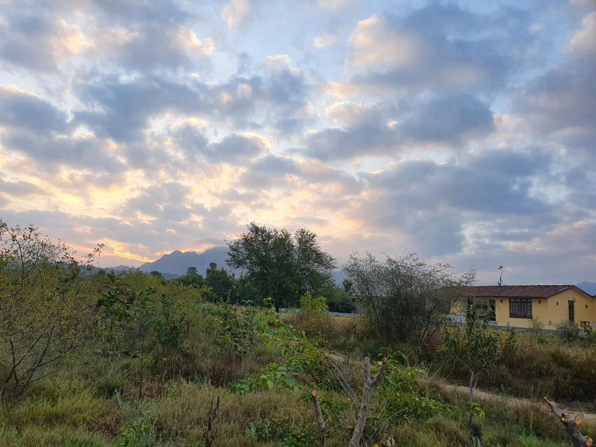 Bijapur Lodge Jawai 外观 照片