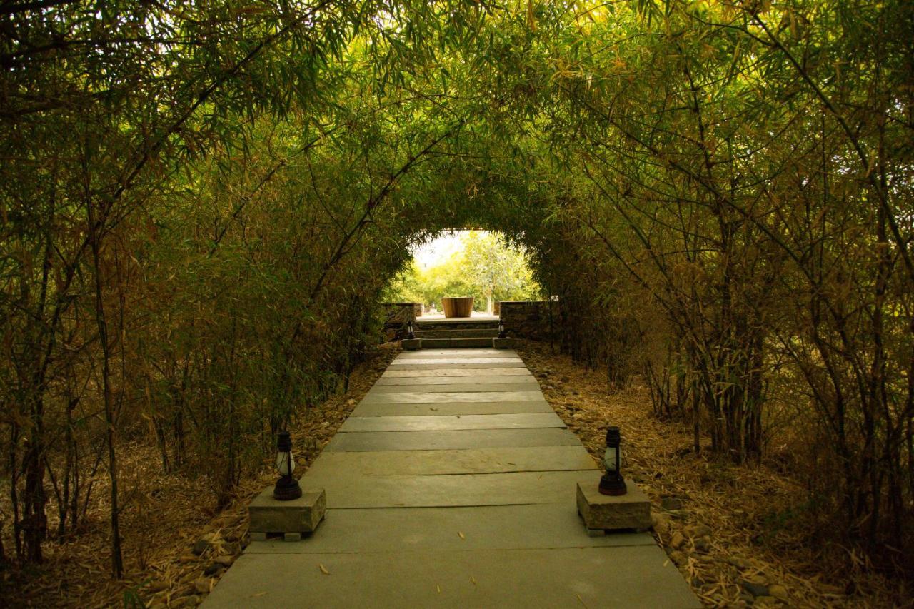 Bijapur Lodge Jawai 外观 照片